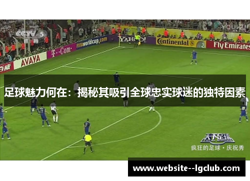 足球魅力何在：揭秘其吸引全球忠实球迷的独特因素