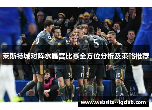 莱斯特城对阵水晶宫比赛全方位分析及策略推荐