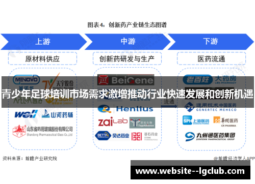 青少年足球培训市场需求激增推动行业快速发展和创新机遇