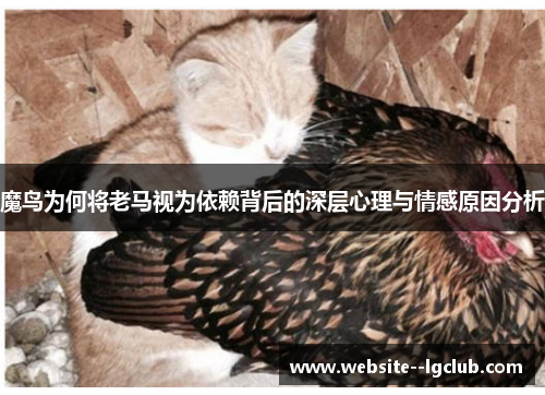 魔鸟为何将老马视为依赖背后的深层心理与情感原因分析
