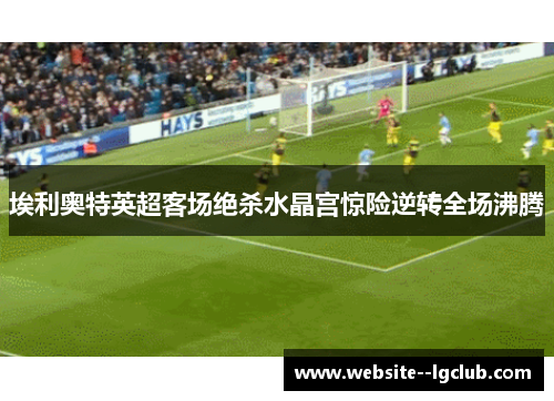 埃利奥特英超客场绝杀水晶宫惊险逆转全场沸腾 埃利奥特英超客场绝杀水晶宫惊险逆转全场沸腾
