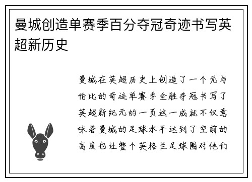 曼城创造单赛季百分夺冠奇迹书写英超新历史
